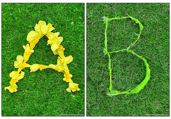 Nature Themed Letters