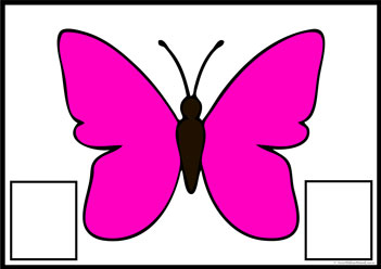 Butterfly Colour Matching 1
