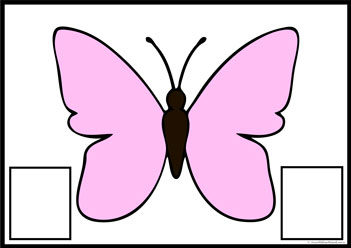 Butterfly Colour Matching 10