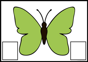 Butterfly Colour Matching 11