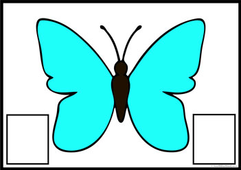 Butterfly Colour Matching 2