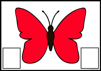 Butterfly Colour Matching 4