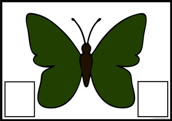 Butterfly Colour Matching 8