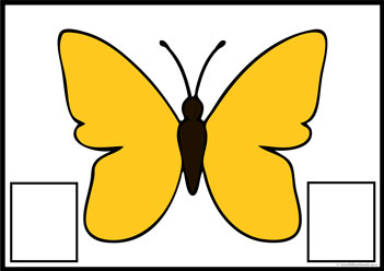 Butterfly Colour Matching 9